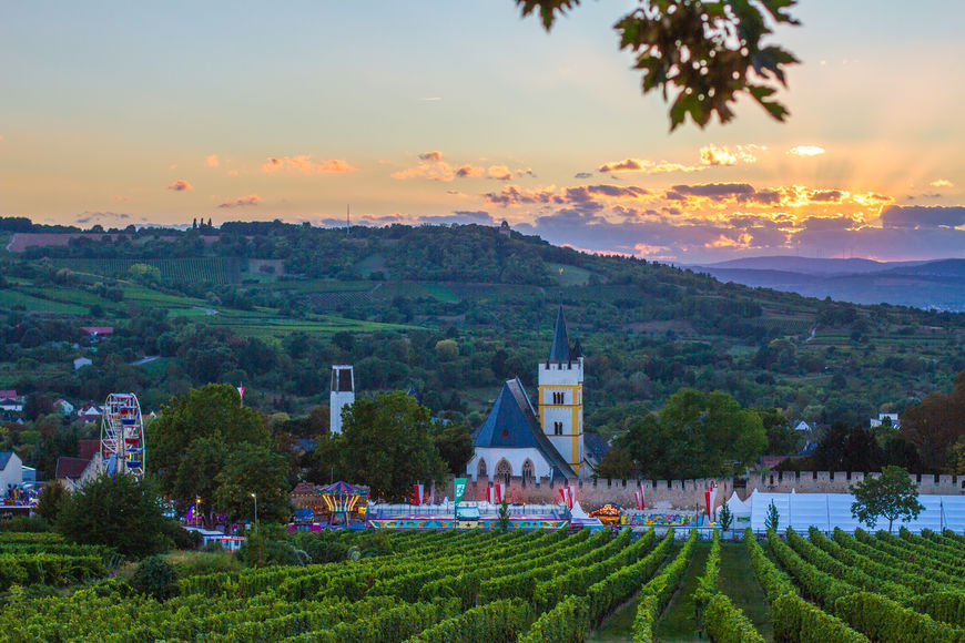 Ausflug nach Ingelheim › Rheingauprinzessin